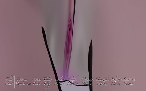 Joliette Fleurs, Drawn Series II #5
