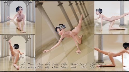 Sentiena Tacta, Workspace Multi-Views #2
