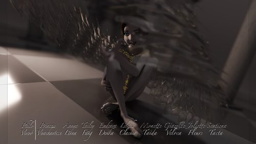Dark White Angel, Played by Sentiena III #12