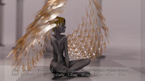 Light Black and Gold Angel, Played by Sentiena I #2