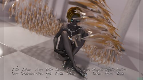 Light Black and Gold Angel, Played by Sentiena I #5