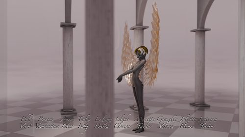 Light Black and Gold Angel, Played by Sentiena I #8
