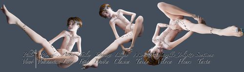 Sentiena Acrobat Jewels and Blender Panic #8