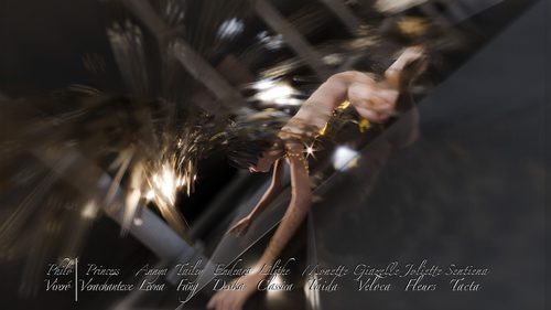 Sentiena Tacta, Golden Fire Angel I #11