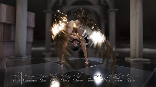 Sentiena Tacta, Golden Fire Angel II #13