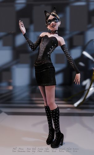 Giazelle Veloca Workspace, Black Cat Edition I #3