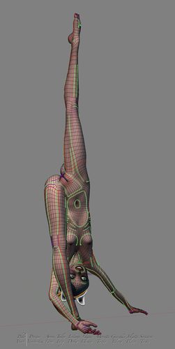 Giazelle Veloca New Mesh and Rig 2025, Wires Full Nude I #5