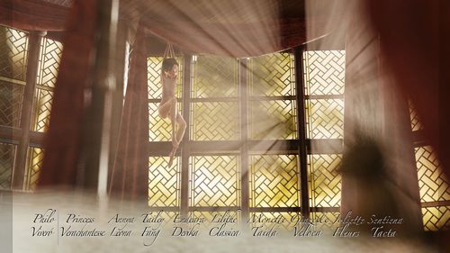 Sentiena Tacta in the Sunny Motel Room XII #3