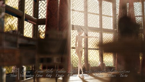 Sentiena Tacta in the Sunny Motel Room XIII #3