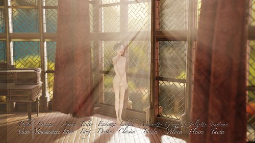 Sentiena Tacta in the Sunny Motel Room XVIII #3